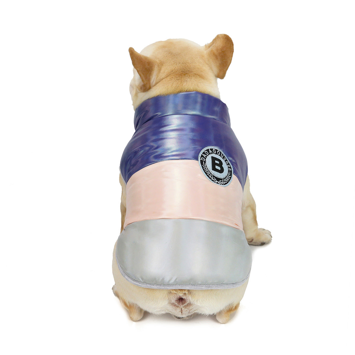 French Bulldog Küçük Irk 2 Adet Takım Elbise Set