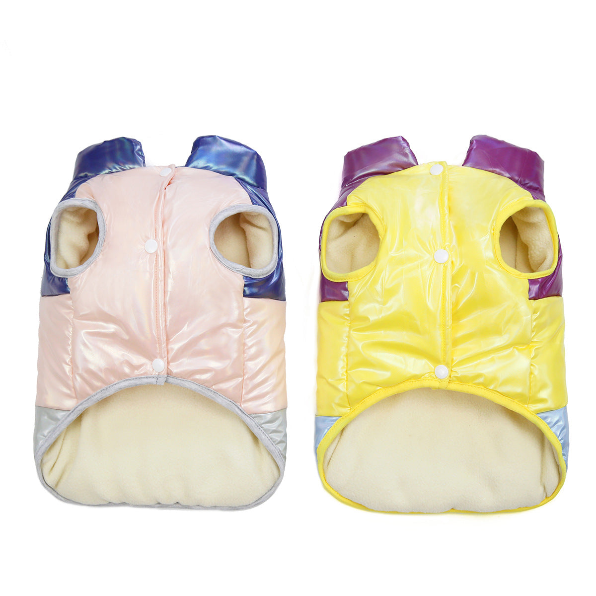 French Bulldog Küçük Irk 2 Adet Takım Elbise Set