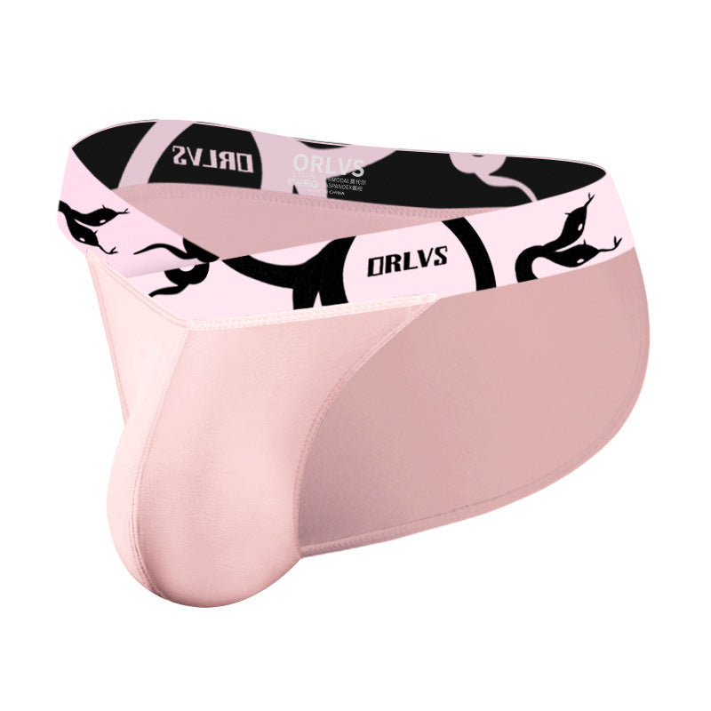 SNK Boys 3'lü külot set