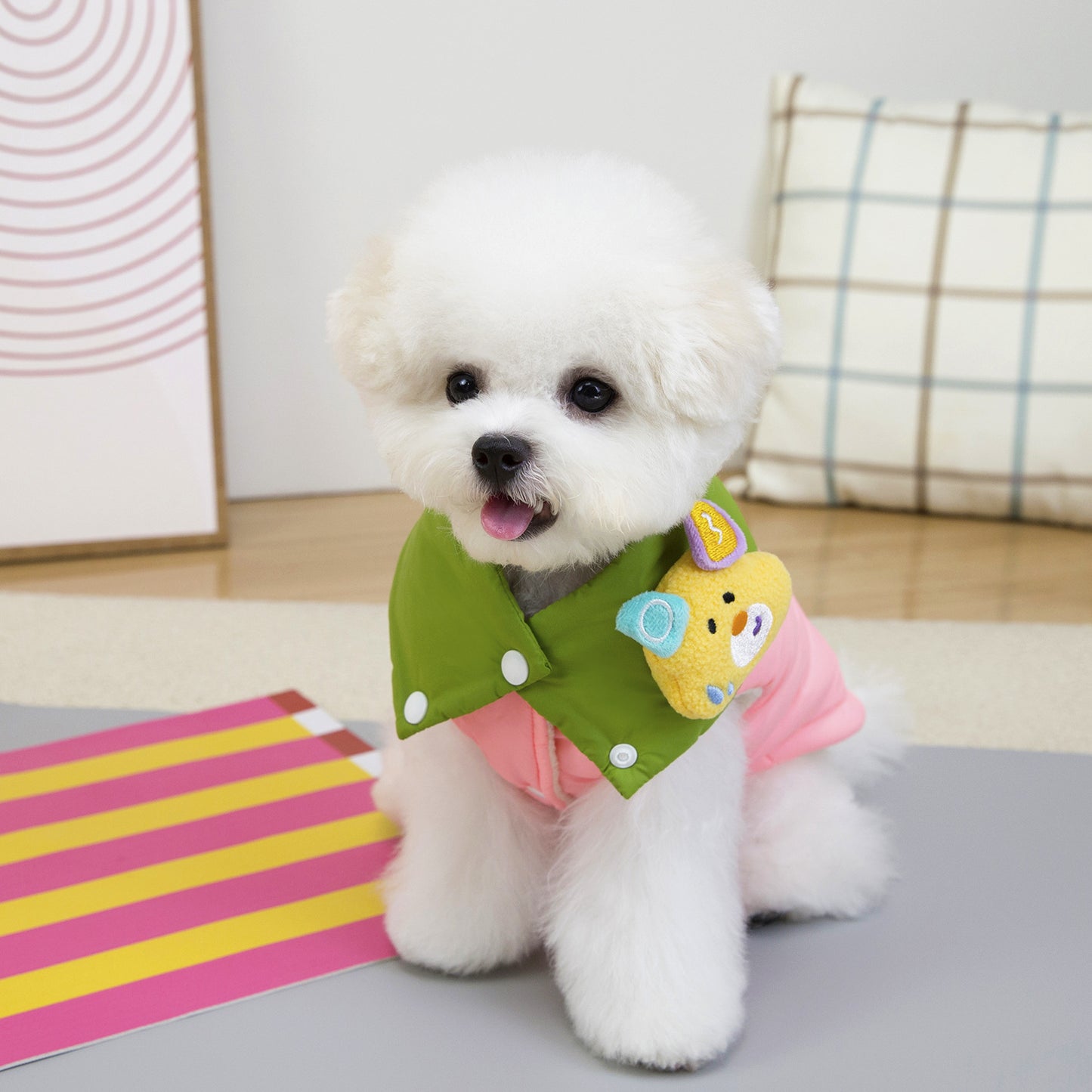 Köpekler İçin 2 Adet Soğuk Geçirmez Ceket