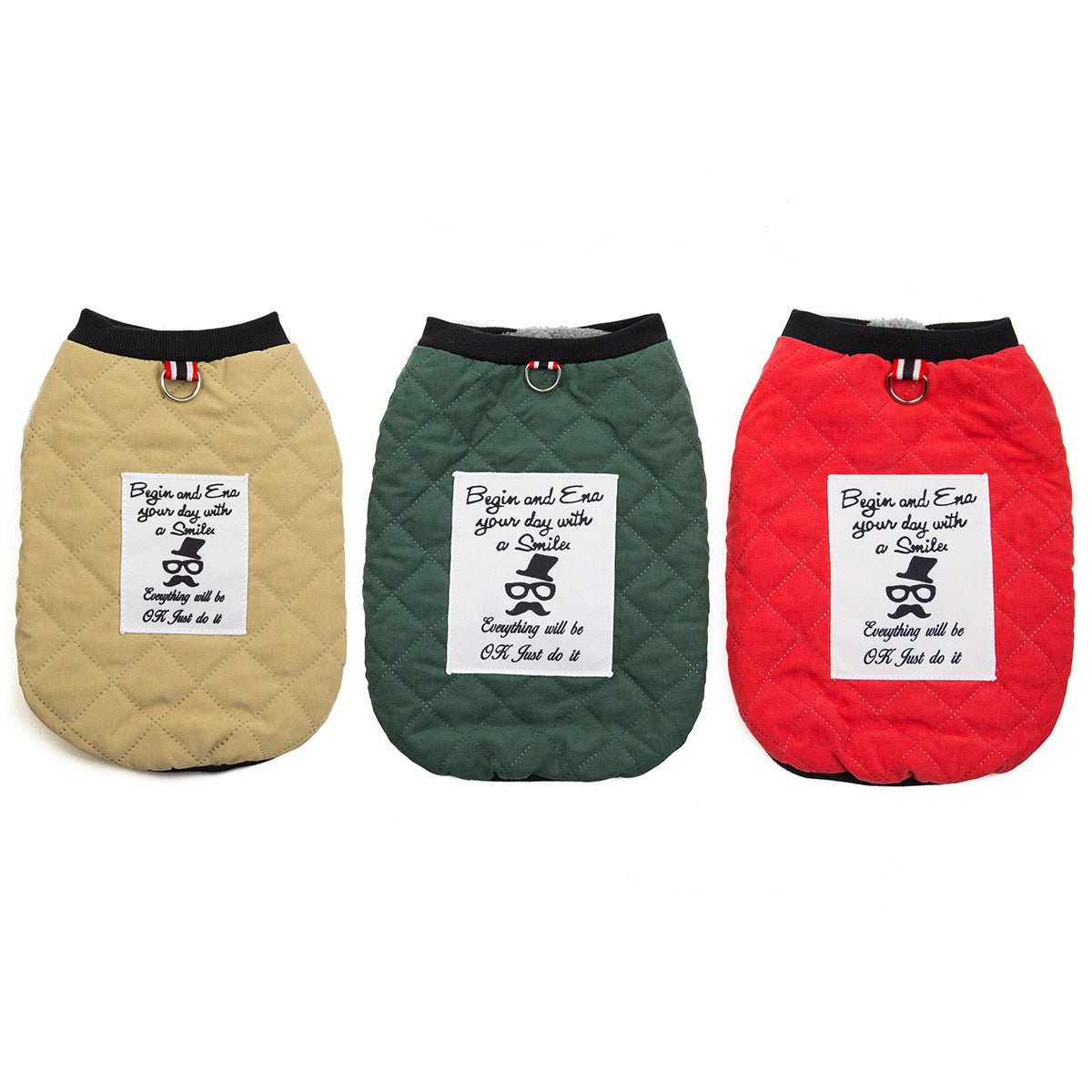 Fransız Bulldog Küçük Irk 3 Adet Takım Elbise