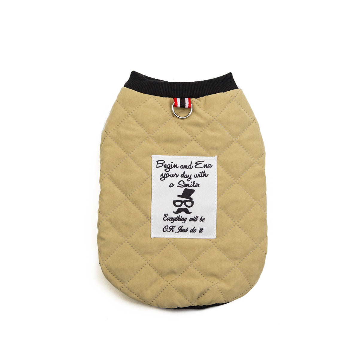 Fransız Bulldog Küçük Irk 3 Adet Takım Elbise