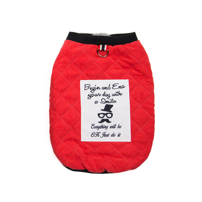 Fransız Bulldog Küçük Irk 3 Adet Takım Elbise