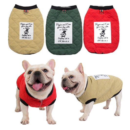 Fransız Bulldog Küçük Irk 3 Adet Takım Elbise