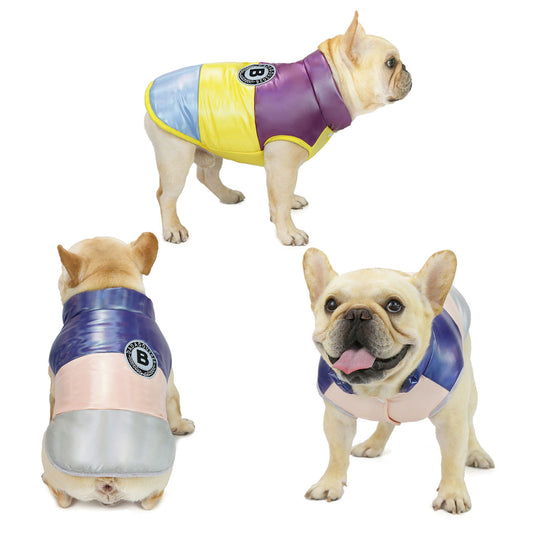 French Bulldog Küçük Irk 2 Adet Takım Elbise Set