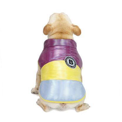 French Bulldog Küçük Irk 2 Adet Takım Elbise Set