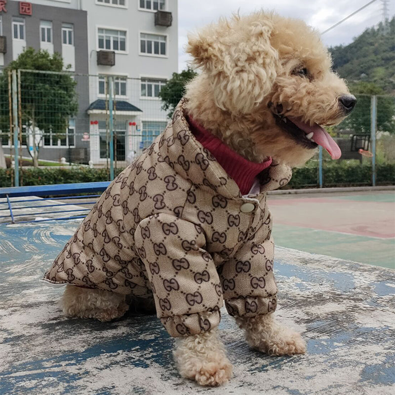 GG Sparkling Hound Wrap Jacket