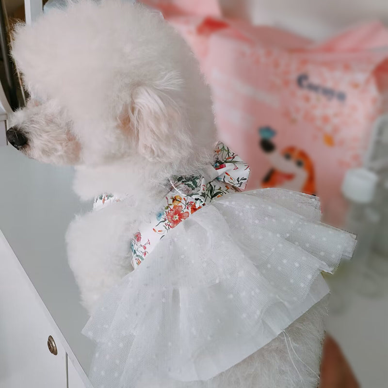 Doggo luxury fashion spring summer dress