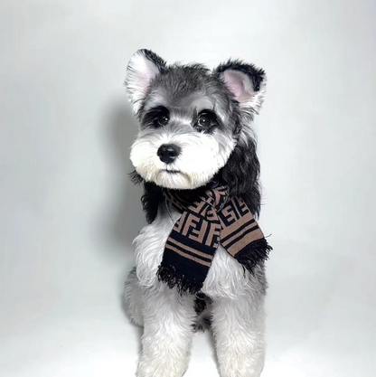 Pendog Brown Scarf