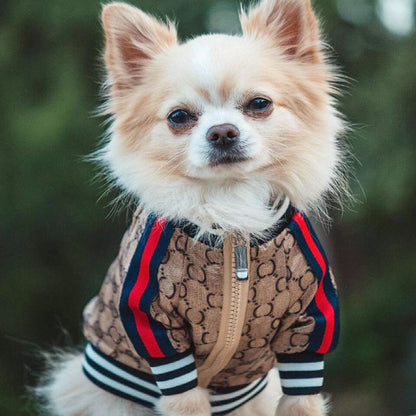 GG Brown Zip Up Bomber Jacket