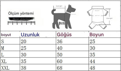 Fransız Bulldog Küçük Irk 3 Adet Takım Elbise
