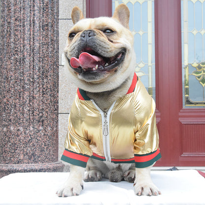 Classic designer doggo jacket