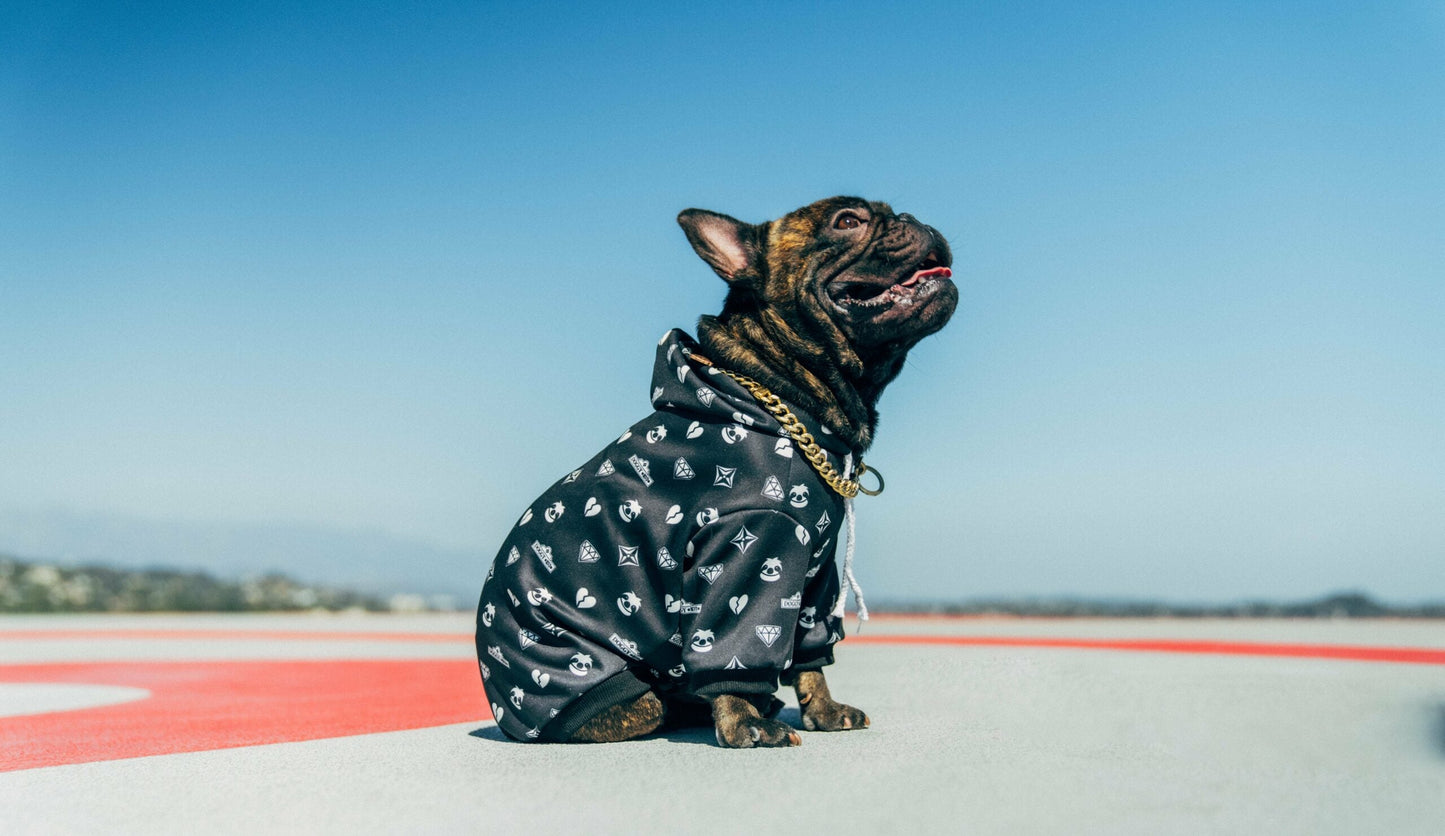 Doggy Blvd x Slothacid Collab Hoodie