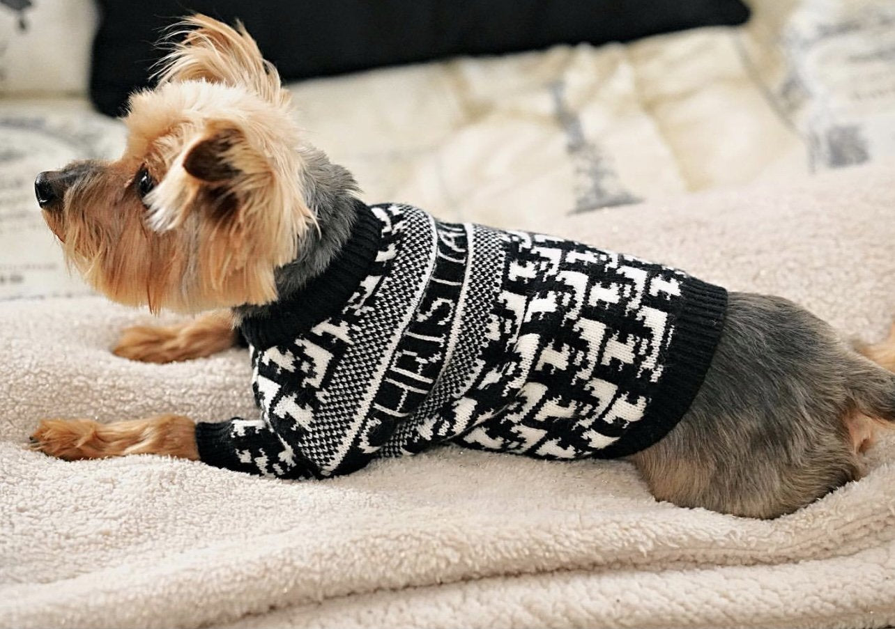 Boss Hype Fly Doggo Sweater