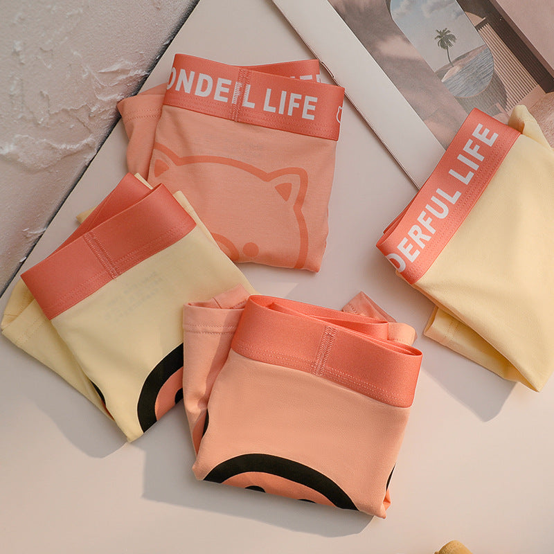 4 lü boxer set Pigy