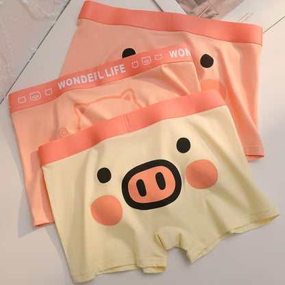 4 lü boxer set Pigy