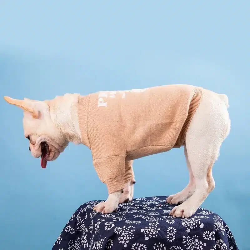 PAWDA DOG SWEATER