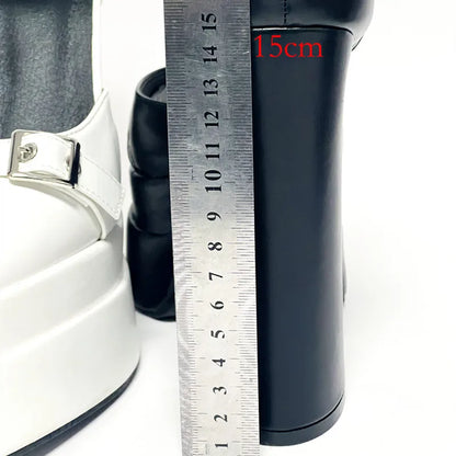 Wild Magnet 15cm Topuklu Ayakkabı