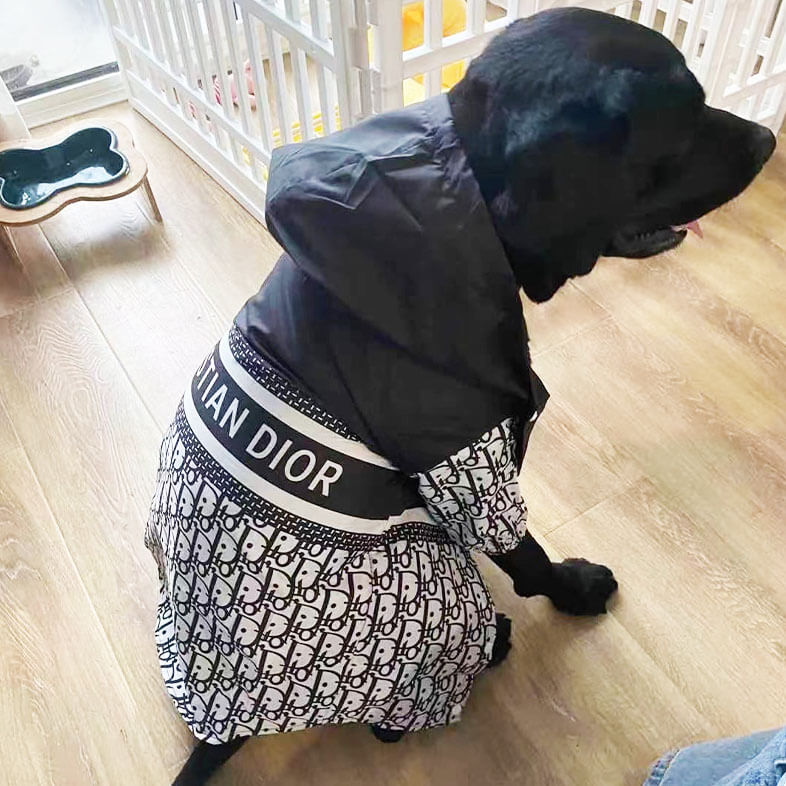 DD Classy Doggo Coat