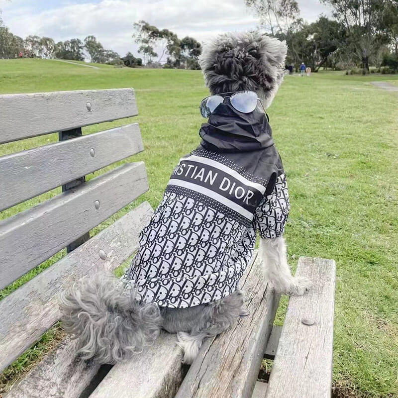 DD Classy Doggo Coat