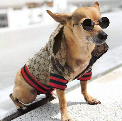 GG Fashionable Doggo Hooded Jacket