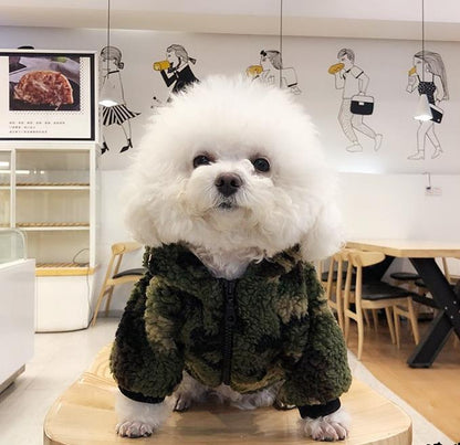 Barking Pup Camo Rockstar Coat