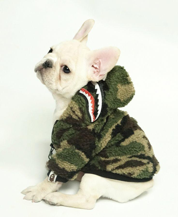 Barking Pup Camo Rockstar Coat